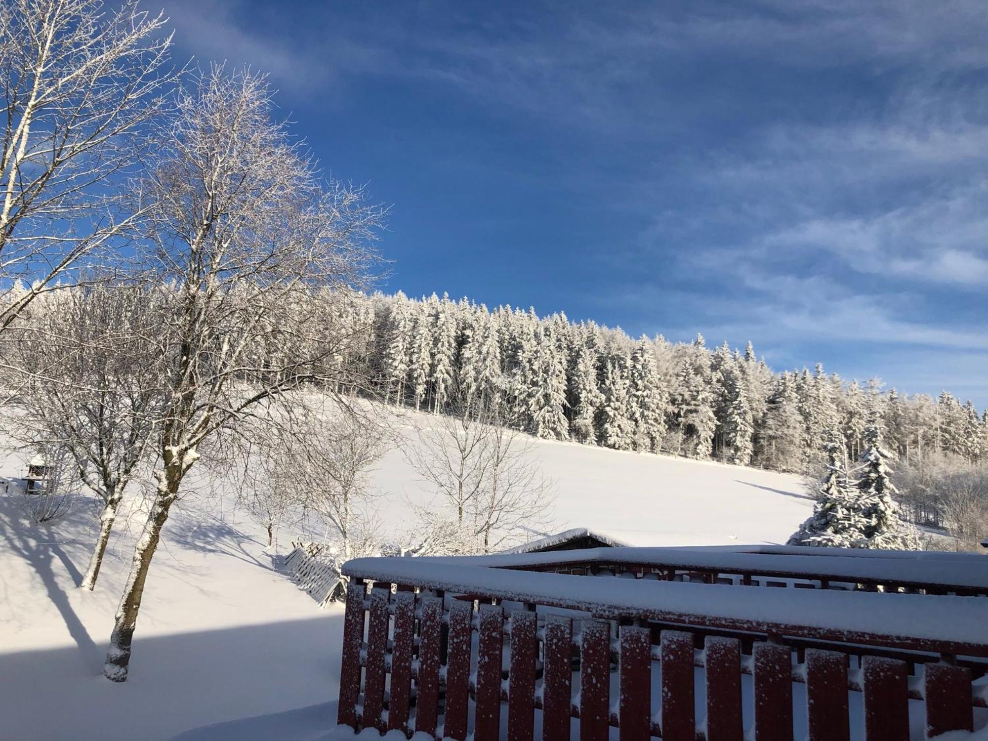 Hotel Berghaus Winterberg Exteriér fotografie